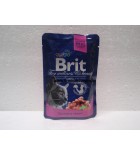 Kapsička BRIT Premium Cat Salmon & Trout - 100 g