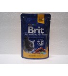 Kapsička BRIT Premium Cat Chicken & Turkey - 100 g