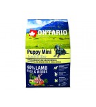 ONTARIO Puppy Mini Lamb & Rice - 2.25 kg